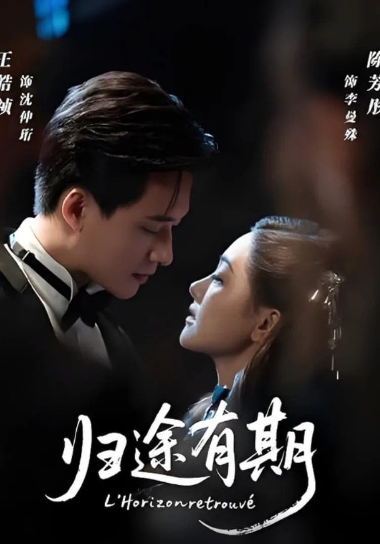 归途有期海报
