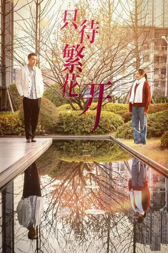 只待繁花开海报