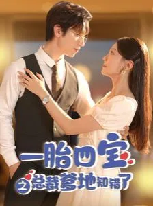 一胎四宝之总裁爹地知错了海报