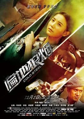 遍地狼烟海报
