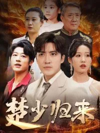 楚少归来海报
