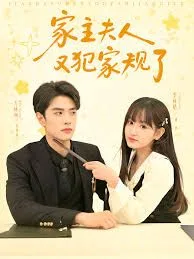 家主夫人又犯家规了海报