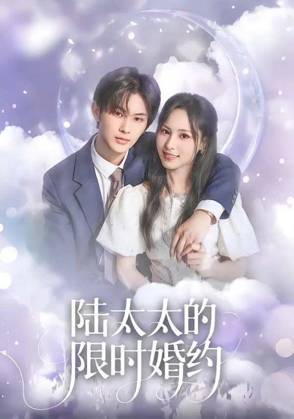 陆太太的限时婚约海报