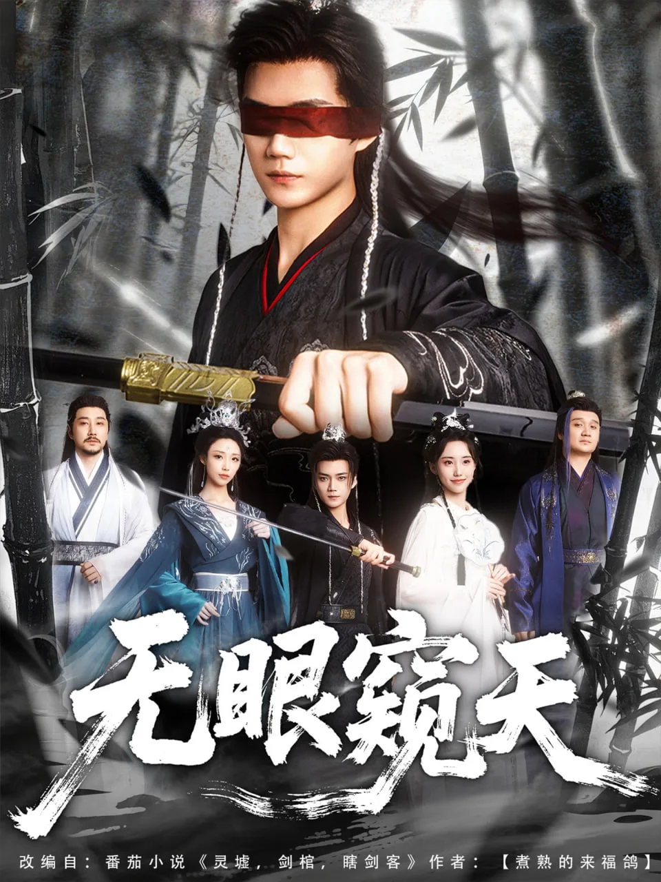 无眼窥天海报