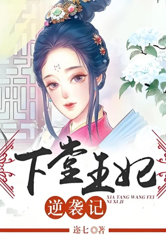 下堂王妃逆袭记海报
