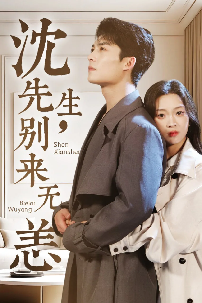 沈先生，别来无恙海报