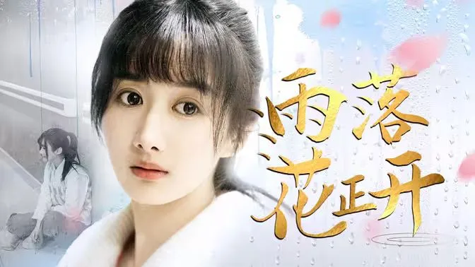 雨落花正开海报
