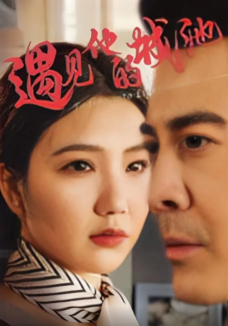 遇见他的城池海报