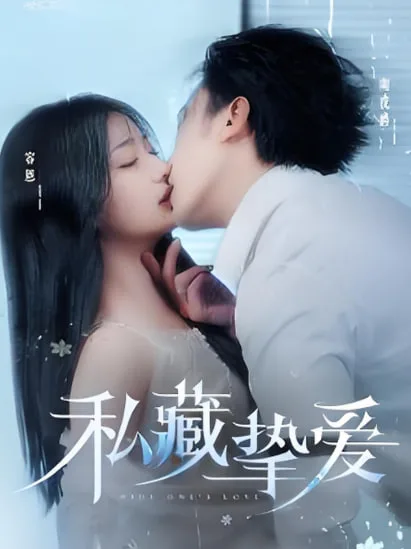 私藏挚爱海报