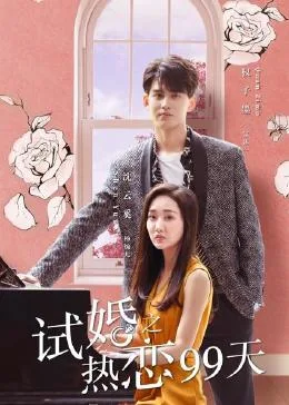 试婚之热恋99天海报