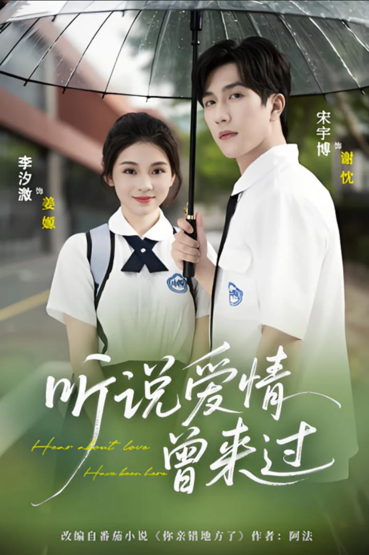 听说爱情曾来过海报