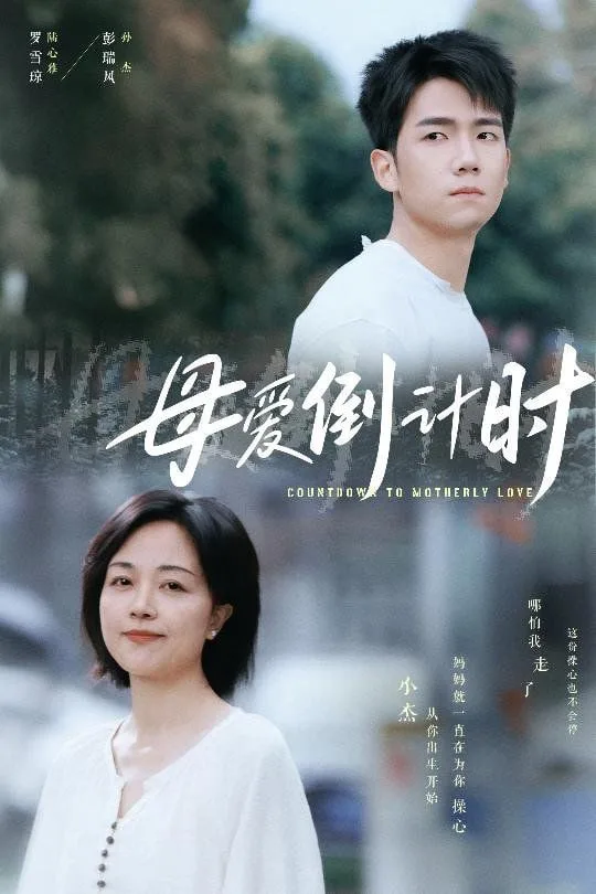 母爱倒计时海报