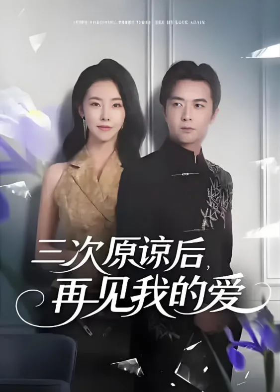 三次原谅后再见我的爱海报