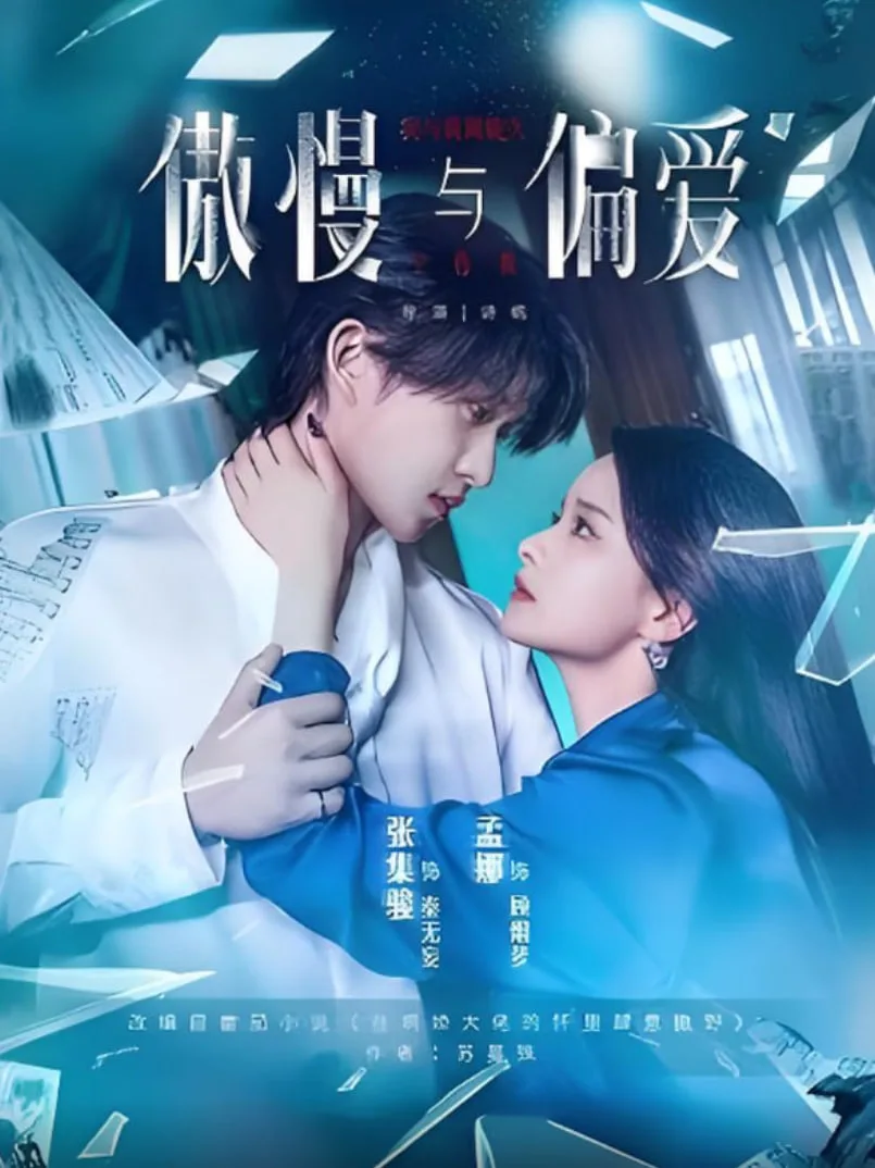 傲慢与偏爱海报