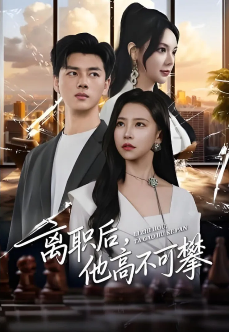 离职后，他高不可攀海报