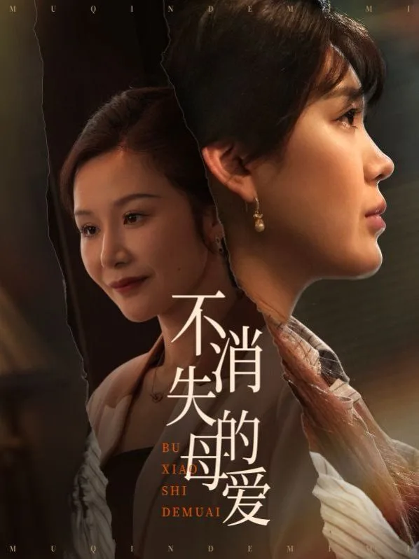 不消失的母爱海报