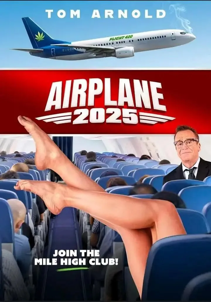 飞机 2025海报