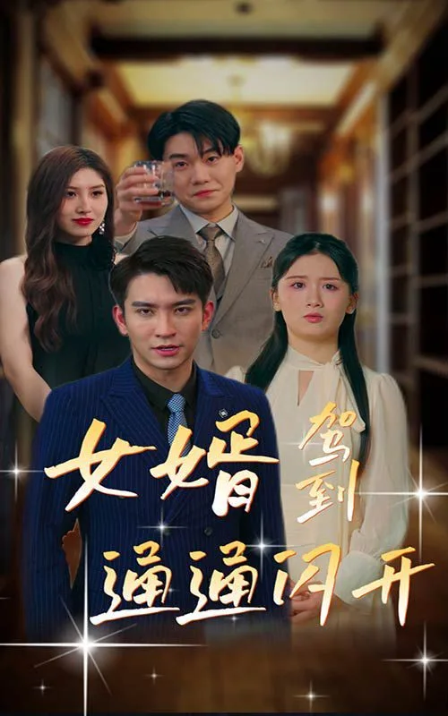 女婿驾到通通闪开海报