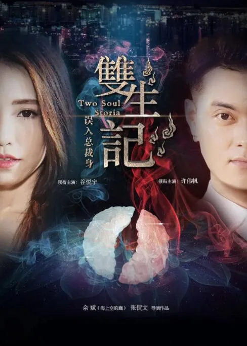 双生记之误入总裁身海报