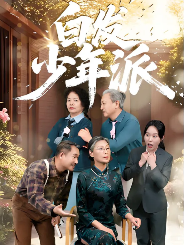 白发少年派海报