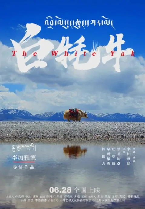 白牦牛海报