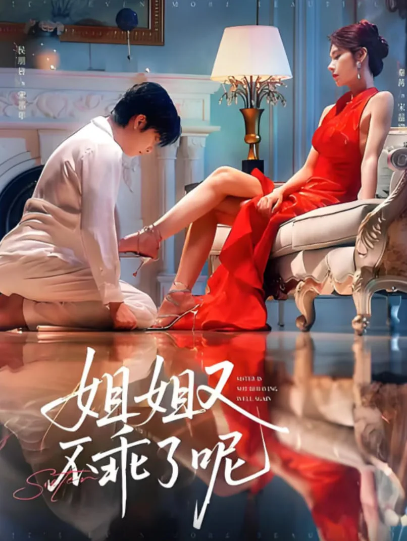 姐姐又不乖了呢海报