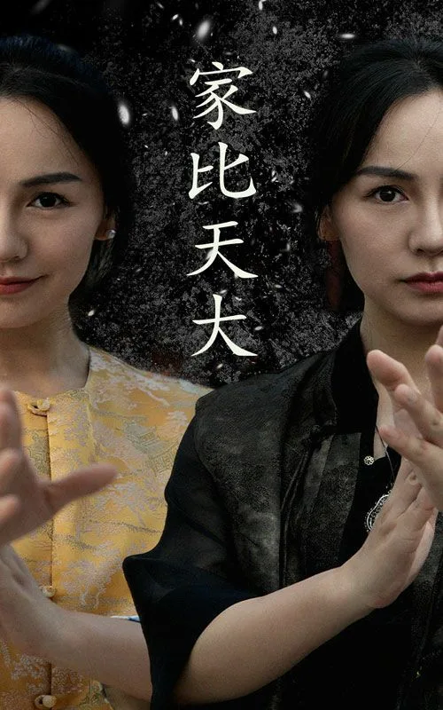 家比天大海报