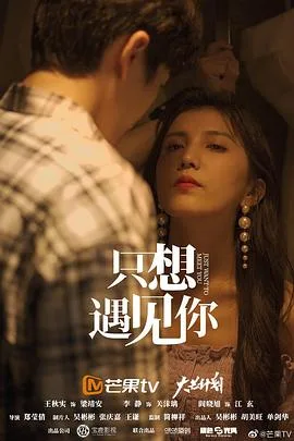只想遇见你海报