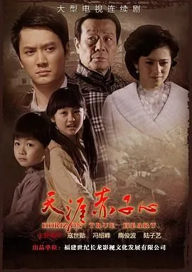 天涯赤子心海报
