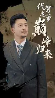 代驾老爹巅峰归来海报