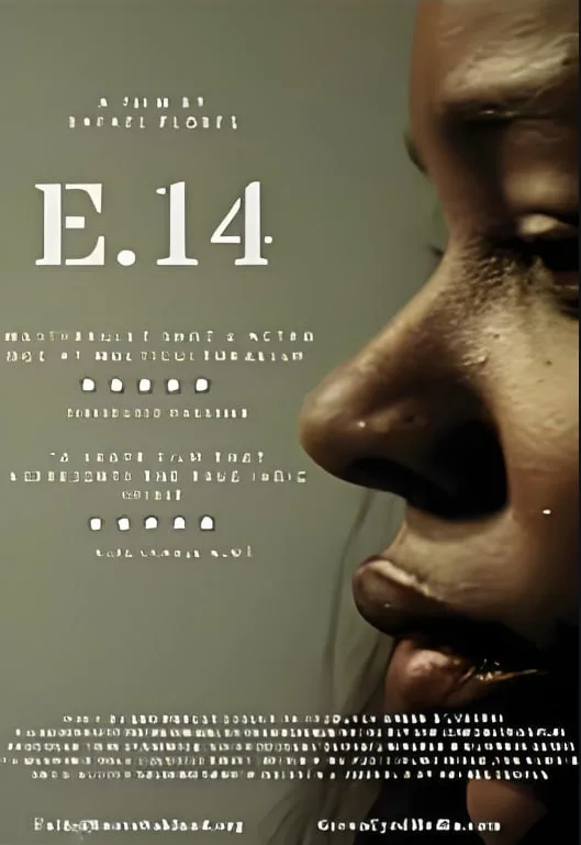 E.14海报