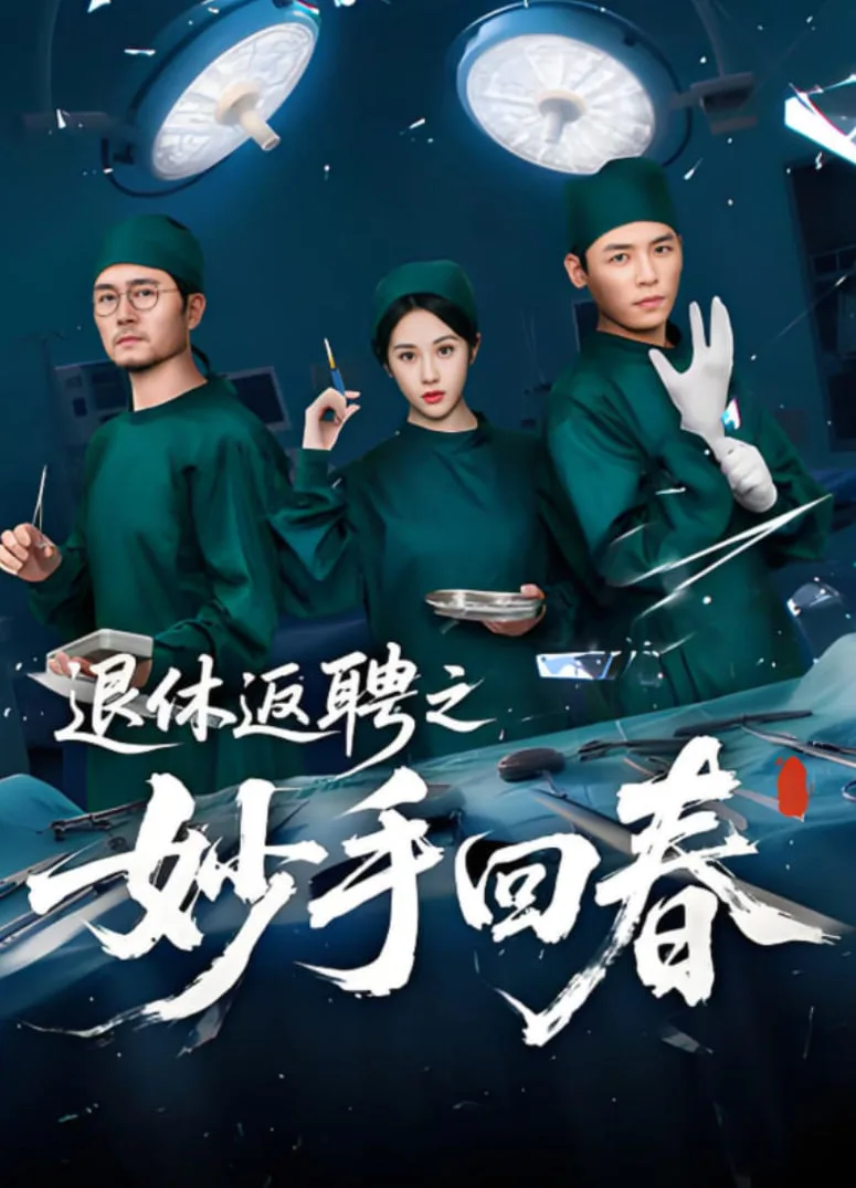退休返聘之妙手回春海报