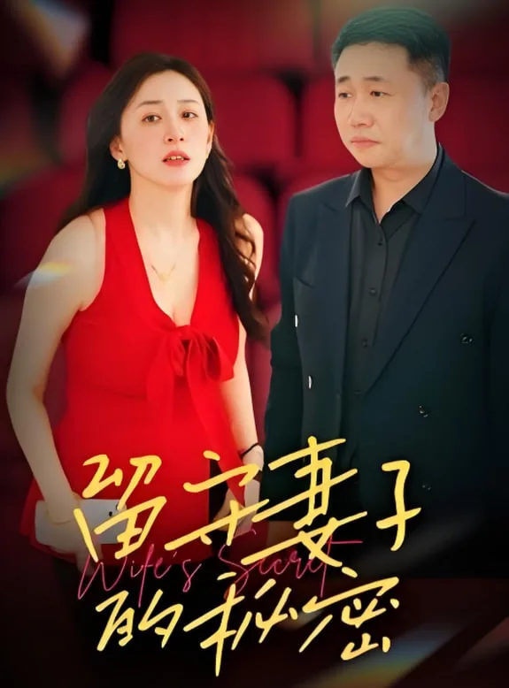 留守妻子的秘密海报