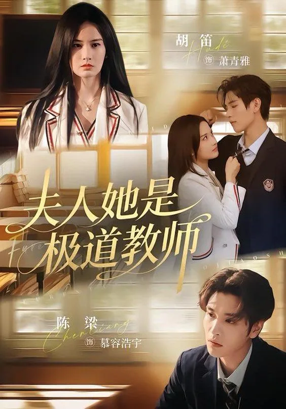 夫人她是极道教师海报
