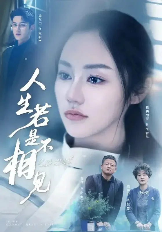 人生若是不相见海报