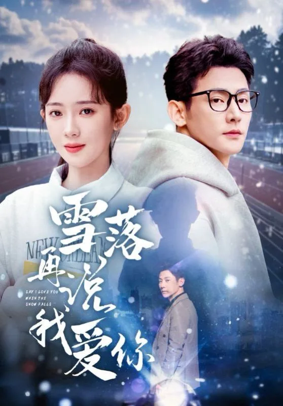 雪落再说我爱你海报
