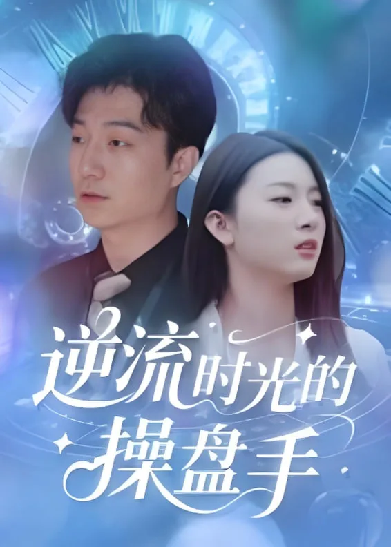 逆流时光的操盘手海报