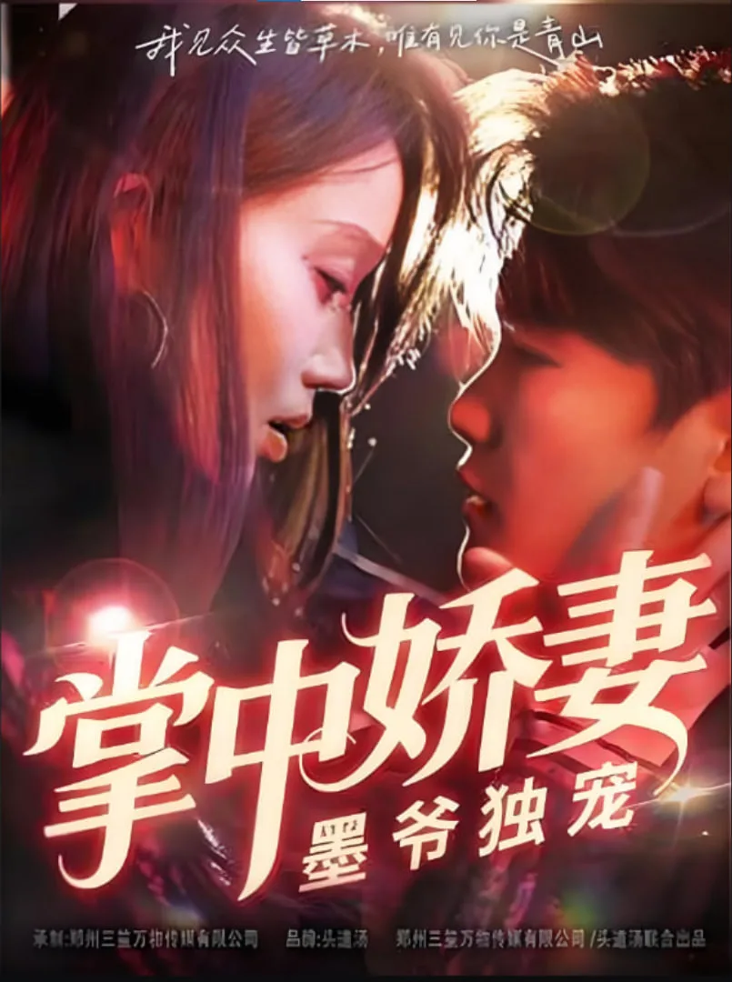 掌中娇妻墨爷独宠海报