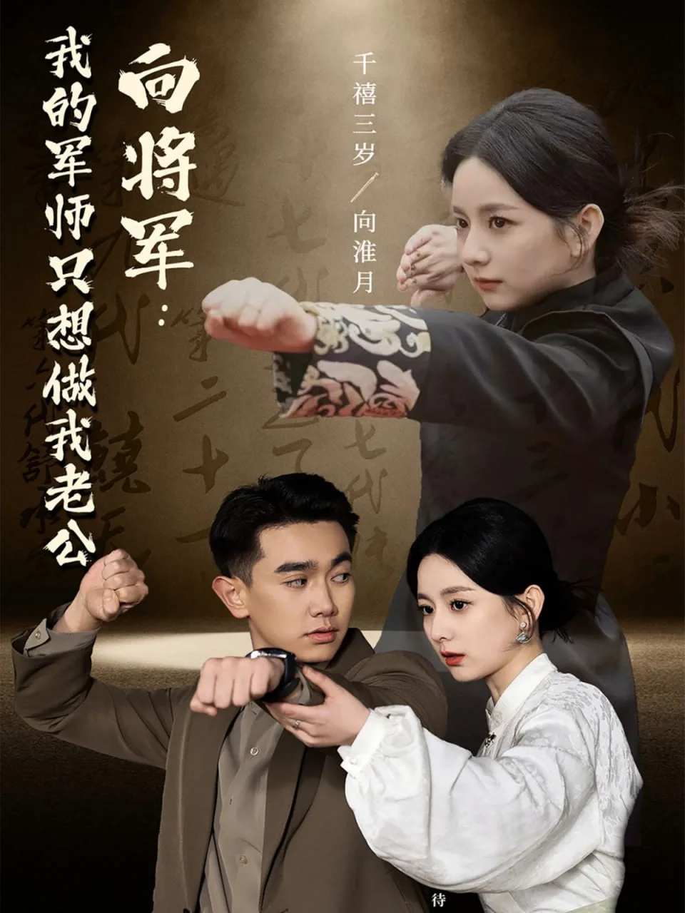 向将军：我的军师只想做我老公海报