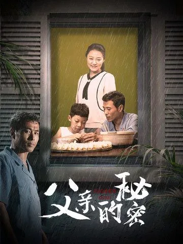 父亲的秘密海报