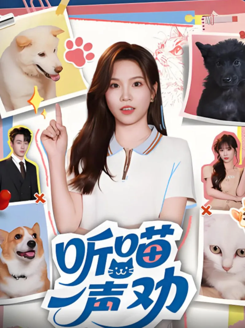 听喵一声劝海报