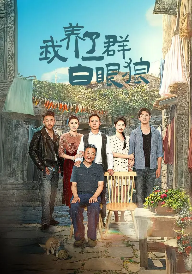我养了一群白眼狼（家家有本难念的经）海报
