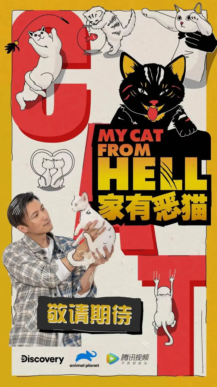 家有恶猫海报