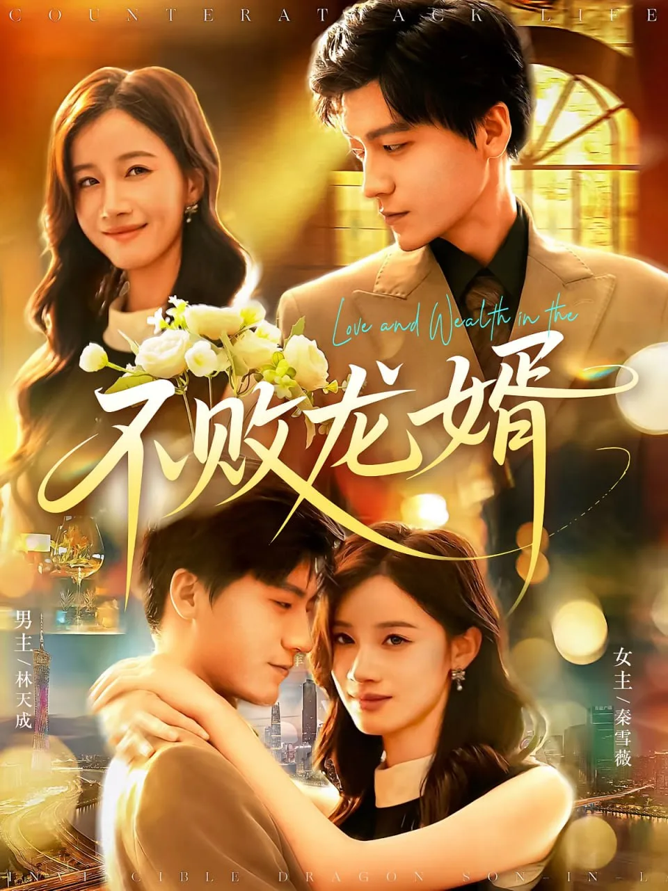 不败龙婿海报