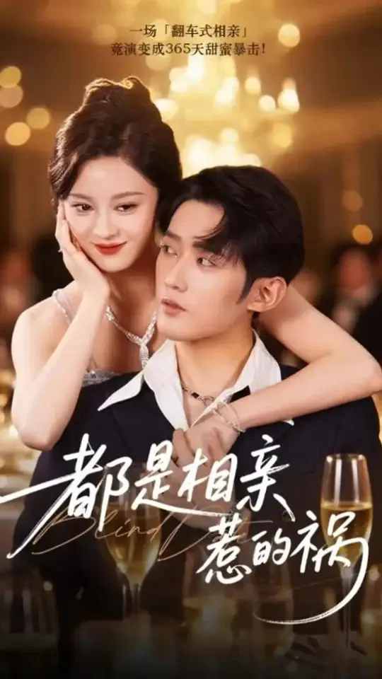 都是相亲惹的祸海报