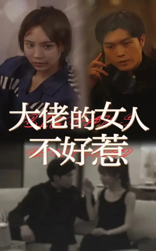 大佬女人不好惹海报