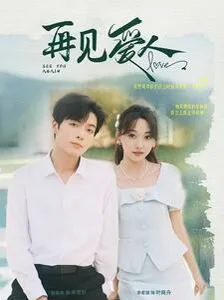 新再见爱人海报