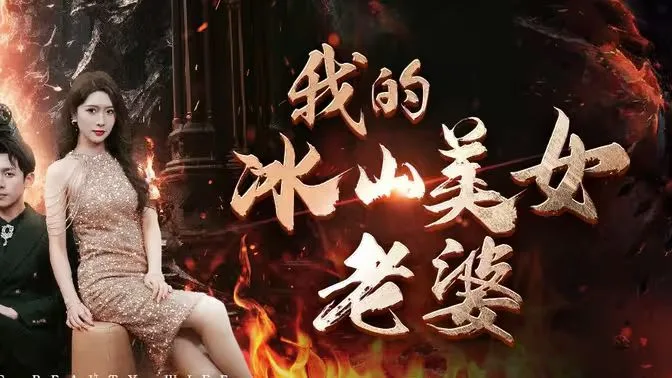 我的冰山美女老婆海报