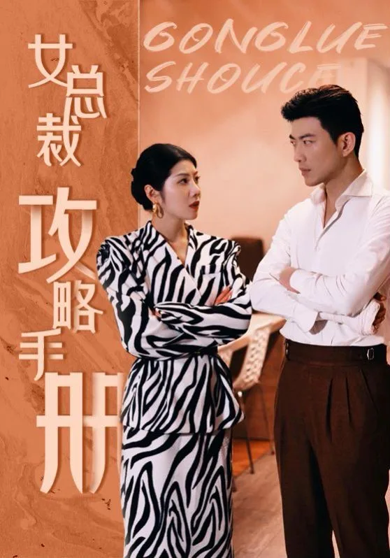 女总裁攻略手册海报
