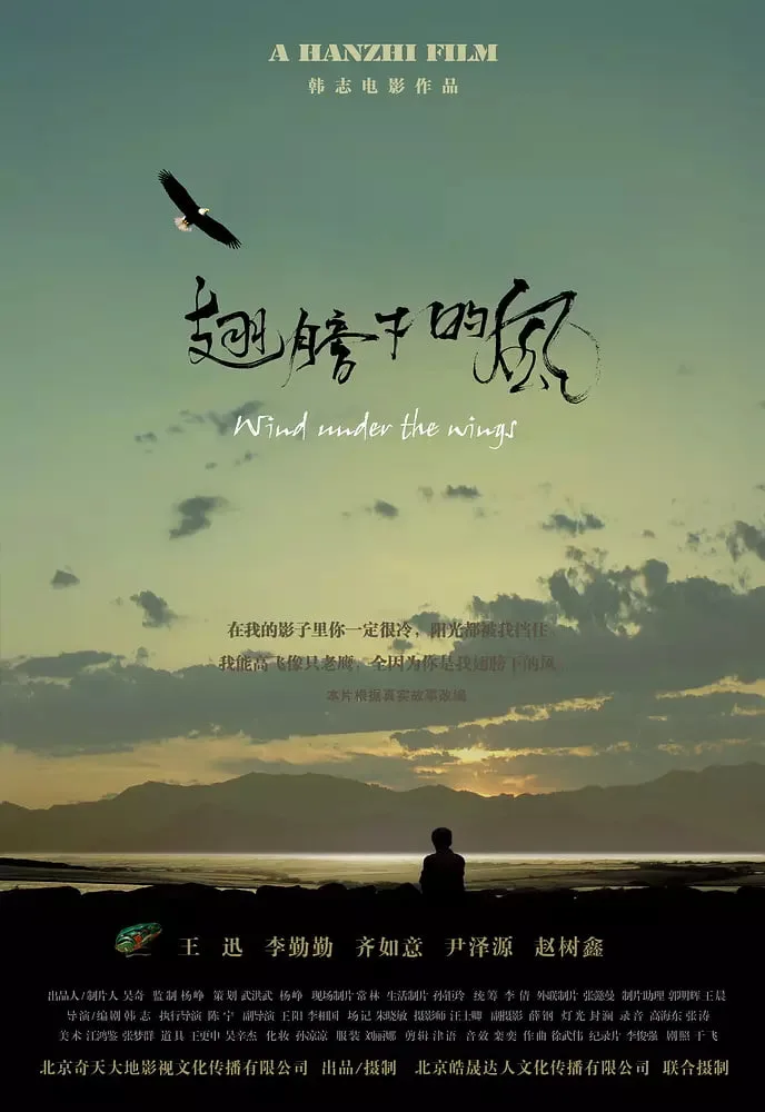 翅膀下的风海报